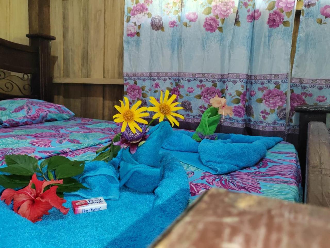 Los Paniquines Ecolodge Drakes Bay Εξωτερικό φωτογραφία