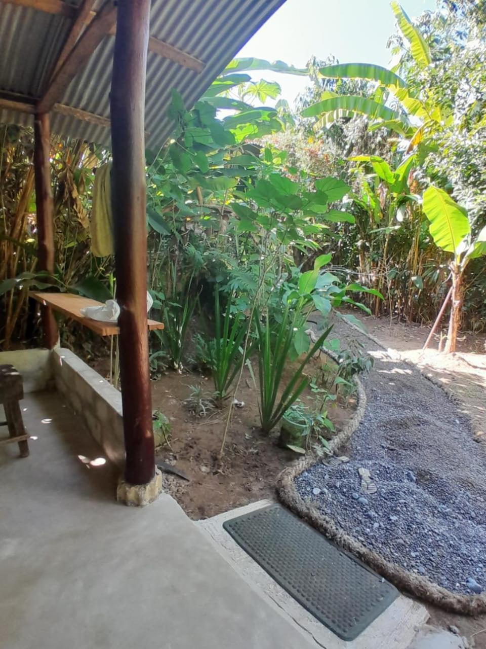 Los Paniquines Ecolodge Drakes Bay Εξωτερικό φωτογραφία