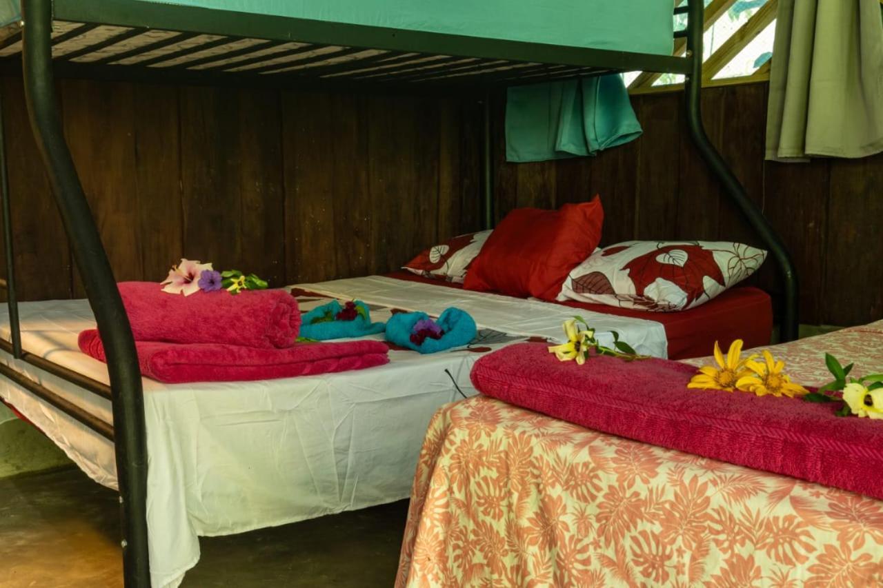 Los Paniquines Ecolodge Drakes Bay Εξωτερικό φωτογραφία